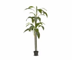 Best reviews of 🧨 S64 Tall Potted Faux Bird of Paradise Floor Plant 👏