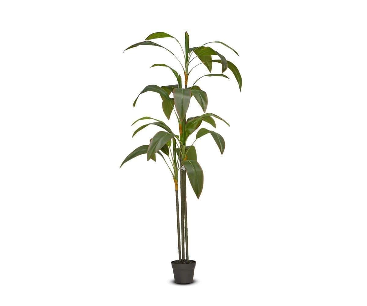 Best reviews of ๐งจ S64 Tall Potted Faux Bird of Paradise Floor Plant ๐ 1 Best reviews of ๐งจ S64 Tall Potted Faux Bird of Paradise Floor Plant ๐
