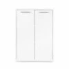 Outlet 💯 C11 Gammel Low Bookcase with Doors - White 🔔