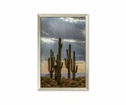 Brand new ❤️ L33 Desert Bliss 😍