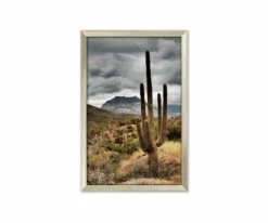 Best Sale 💯 L33 Desert Sunrise 👍