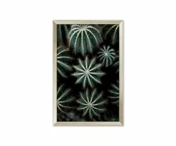 Outlet 🤩 L33 Enchanted Effervescence 😉