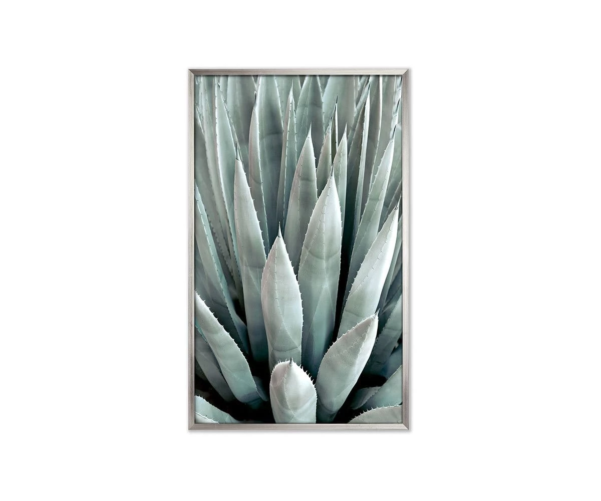 Brand new ๐ฅ L33 Enchanted Repose ๐ 1 Brand new ๐ฅ L33 Enchanted Repose ๐