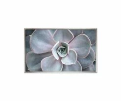 Cheap 🌟 L33 Enchanted Tranquility 💯