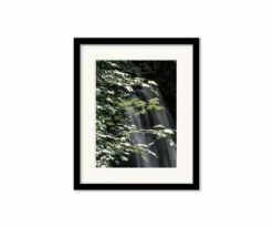 Budget 🌟 L33 Silvery Silence ✨