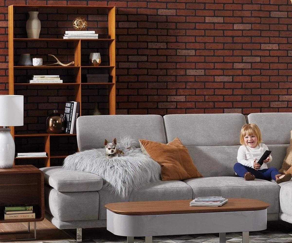 Best deal π E07 Haldi Bookcase II β€οΈ 9 Best deal π E07 Haldi Bookcase II β€οΈ - Image 9